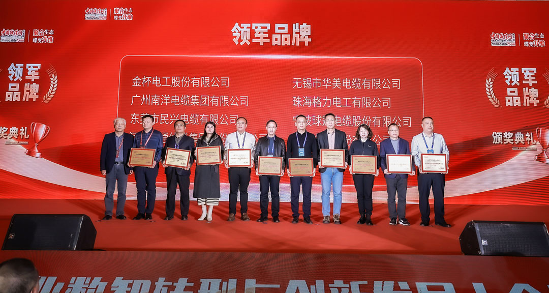 VR彩票榮獲中國線纜行業領軍品牌企業！