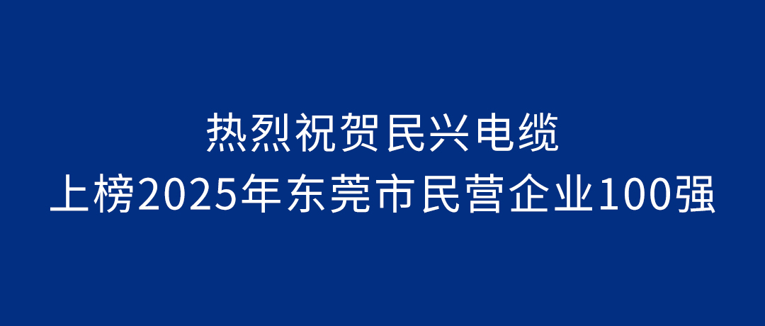 VR彩票排第23名！2025年東莞市民營企業百強榜單發布