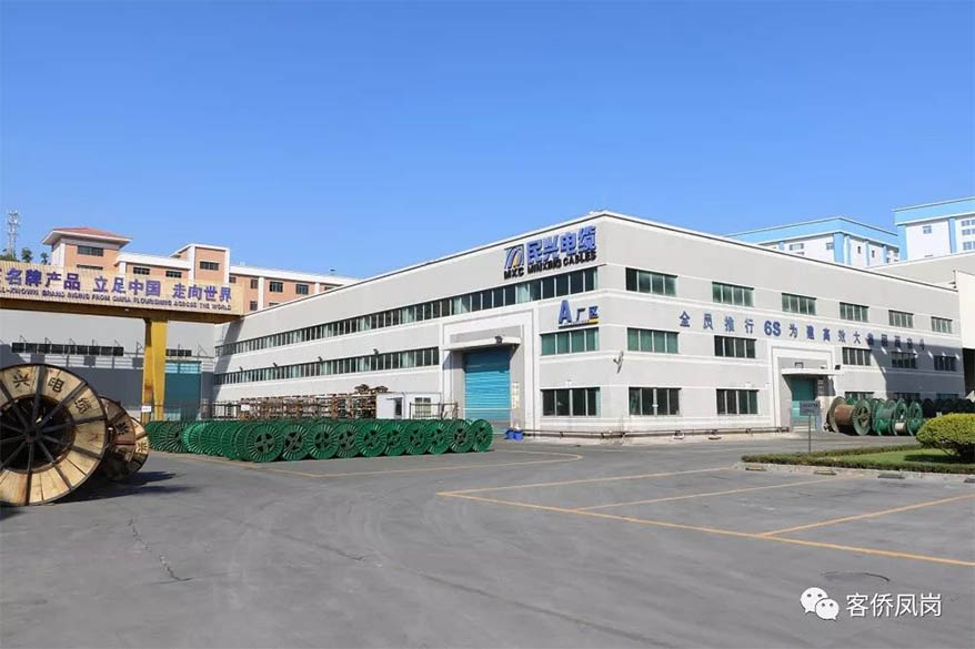 黨建引航 | 堅守初心與使命——  VR彩票接受鳳崗電視臺采訪和報道