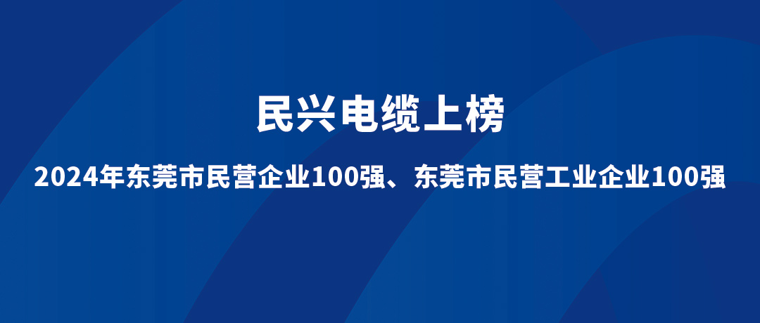 VR彩票位列第15位！2024年東莞市民營工業(yè)企業(yè)100強榜單發(fā)布