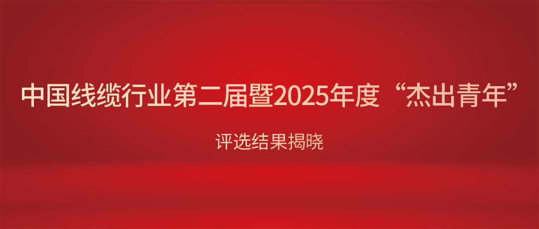 熱烈祝賀VR彩票總經理楊彥榮獲中國線纜行業“杰出青年”！